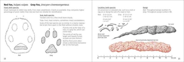 Scat Finder - Image 4