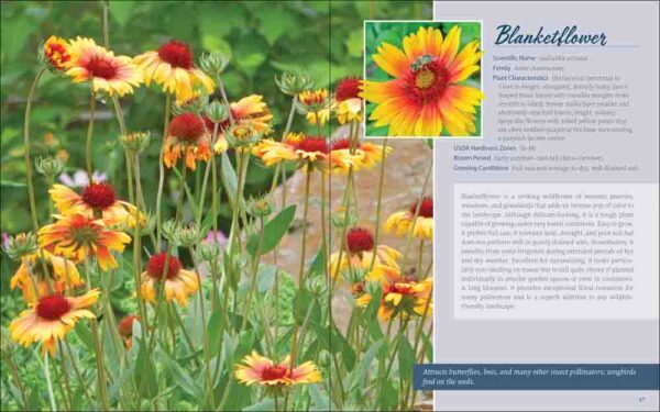 Native Plant Gardening for Birds, Bees & Butterflies: Pacific Northwest - Image 2