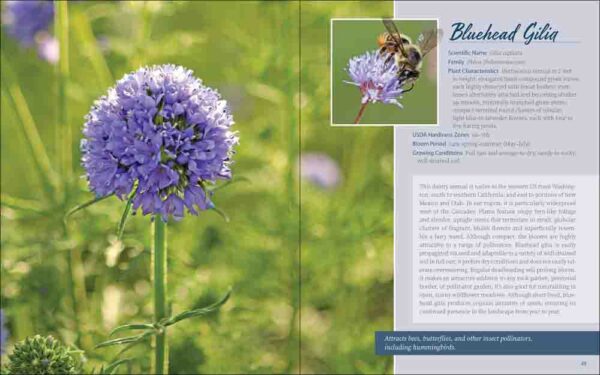 Native Plant Gardening for Birds, Bees & Butterflies: Pacific Northwest - Image 3