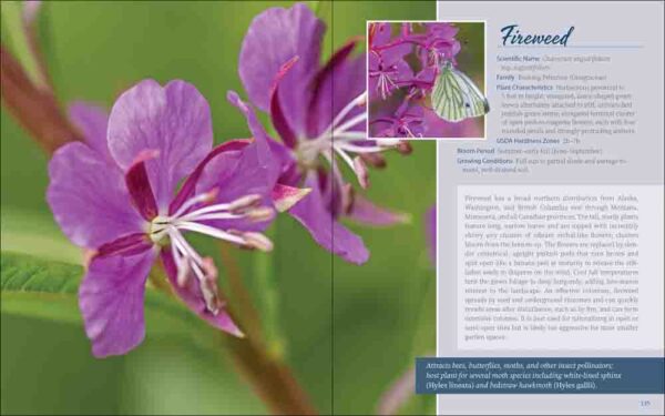 Native Plant Gardening for Birds, Bees & Butterflies: Pacific Northwest - Image 4