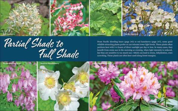 Native Plant Gardening for Birds, Bees & Butterflies: Pacific Northwest - Image 5