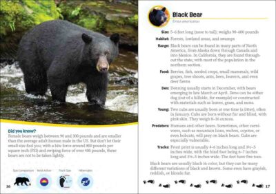 Critters of California - Image 2