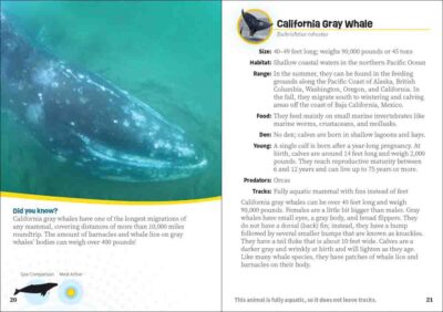 Critters of California - Image 4