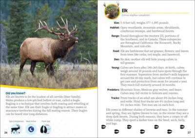 Critters of California - Image 5