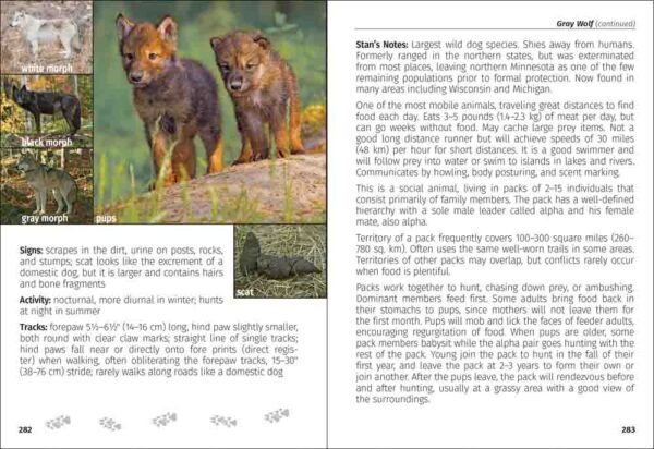 Mammals of Minnesota Field Guide - Image 5