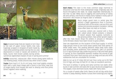 Mammals of Wisconsin Field Guide - Image 5