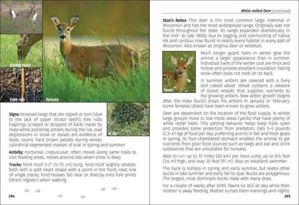 Mammals of Wisconsin Field Guide - Image 5