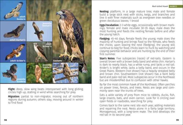 Birds of Prey of the Northeast Field Guide - Image 5