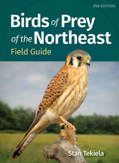 Birds of Prey of the Northeast Field Guide