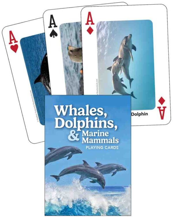 Whales, Dolphins, and Marine Mammals Playing Cards