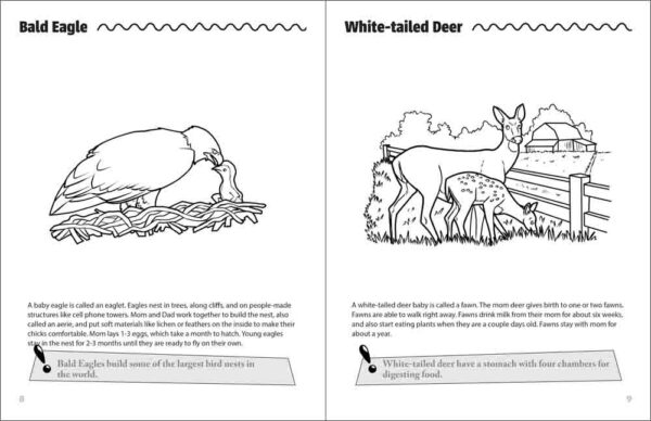 Mama & Baby Animals Activity Book - Image 3