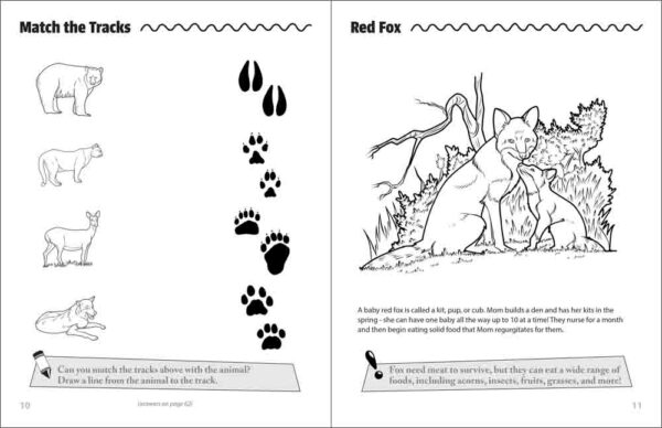 Mama & Baby Animals Activity Book - Image 4