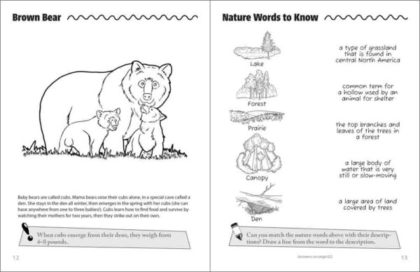 Mama & Baby Animals Activity Book - Image 5