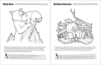 Mama & Baby Animals Activity Book - Image 2