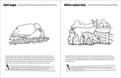 Mama & Baby Animals Activity Book - Image 4