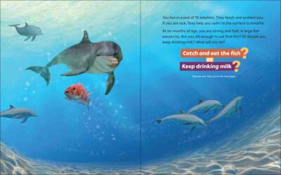 What Will the Dolphin Do? - Image 4