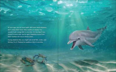 What Will the Dolphin Do? - Image 5