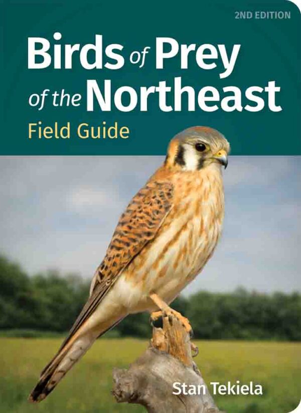 Birds of Prey of the Northeast Field Guide