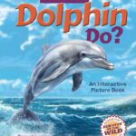 what_will_dolphin_do_978196008