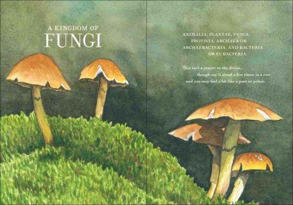 The Wonder of Mushrooms - Image 2