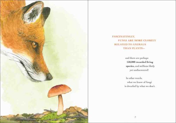 The Wonder of Mushrooms - Image 3