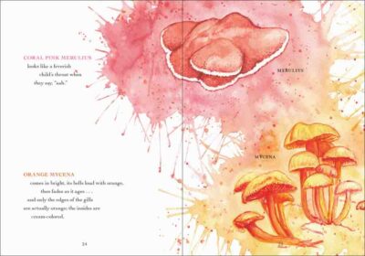 The Wonder of Mushrooms - Image 7
