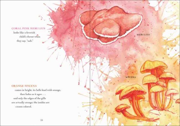 The Wonder of Mushrooms - Image 4