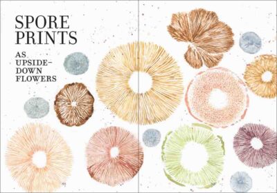 The Wonder of Mushrooms - Image 8