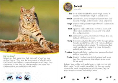 Critters of Alabama - Image 5