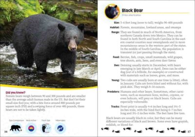 Critters of the Carolinas - Image 5