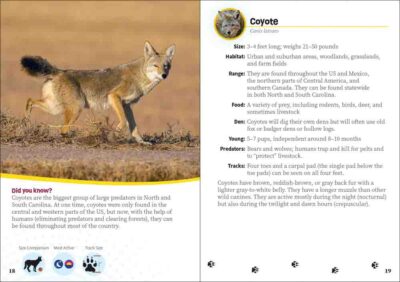 Critters of the Carolinas - Image 6