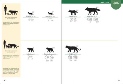 Mammals of Michigan Field Guide - Image 2