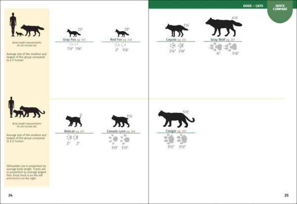 Mammals of Michigan Field Guide - Image 2