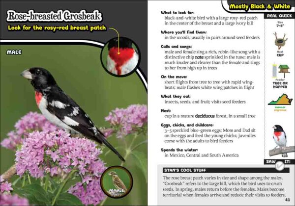 Kids' Guide to Birds of Virginia - Image 2