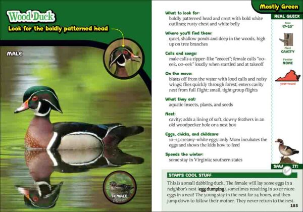 Kids' Guide to Birds of Virginia - Image 4