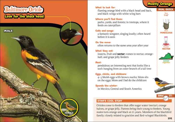 Kids' Guide to Birds of Virginia - Image 5