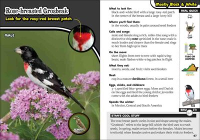 Kids' Guide to Birds of Virginia - Image 3