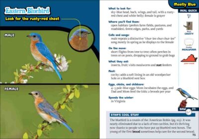 Kids' Guide to Birds of Virginia - Image 4