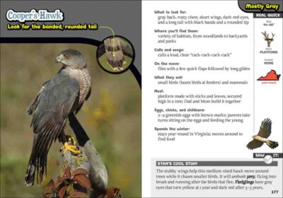 Kids' Guide to Birds of Virginia - Image 5