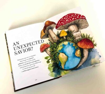 The Wonder of Mushrooms - Image 4