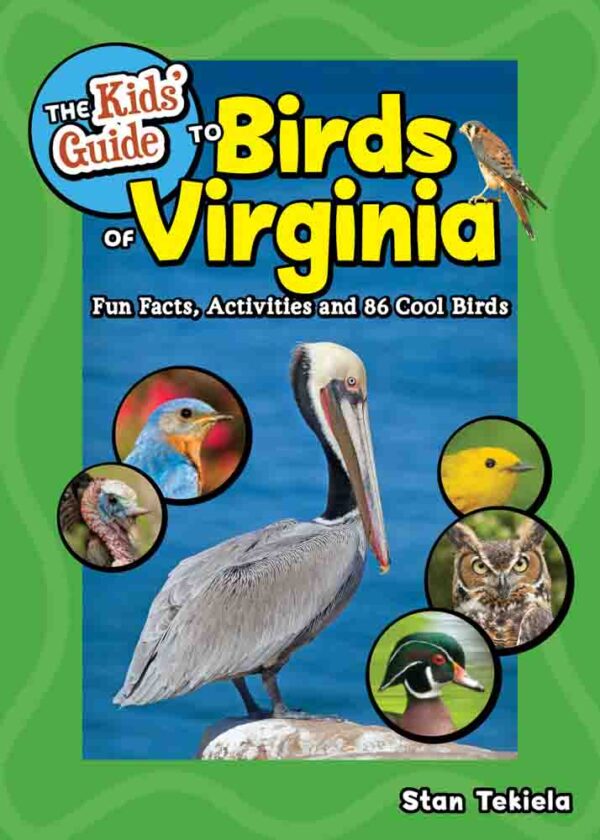 Kids' Guide to Birds of Virginia