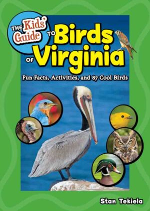 Kids' Guide to Birds of Virginia