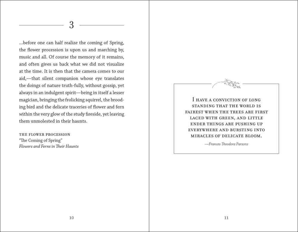 Meditations of Mabel Osgood Wright - Image 4