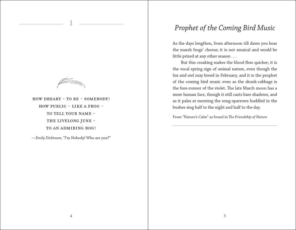 Meditations of Mabel Osgood Wright - Image 3