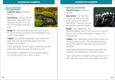 Reptiles & Amphibians for Kids - Image 3