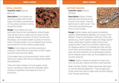 Reptiles & Amphibians for Kids - Image 4