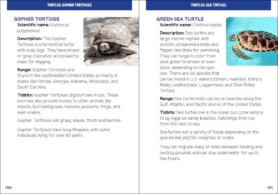 Reptiles & Amphibians for Kids - Image 5
