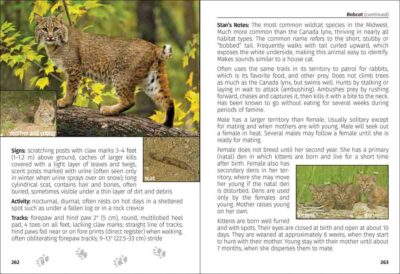 Mammals of the Midwest Field Guide - Image 3