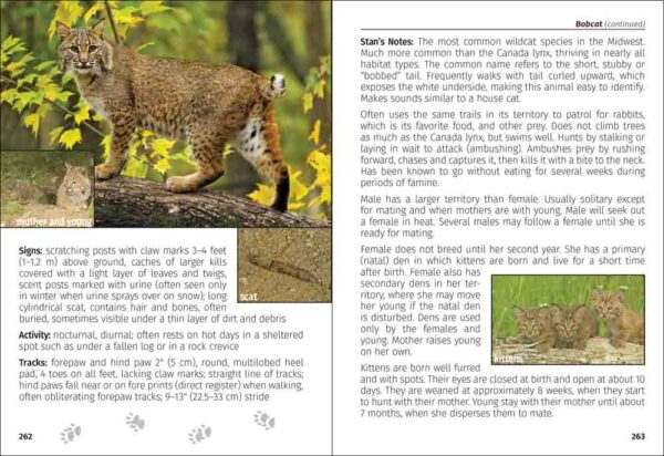 Mammals of the Midwest Field Guide - Image 3