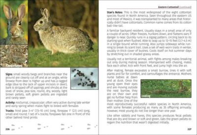 Mammals of the Midwest Field Guide - Image 5